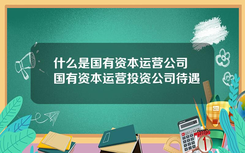 什么是国有资本运营公司 国有资本运营投资公司待遇